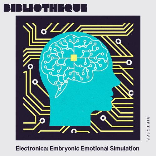 Electronica: Embryonic Emotional Simulation