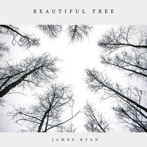Beautiful Tree