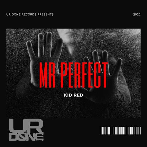 Mr Perfect (Explicit)