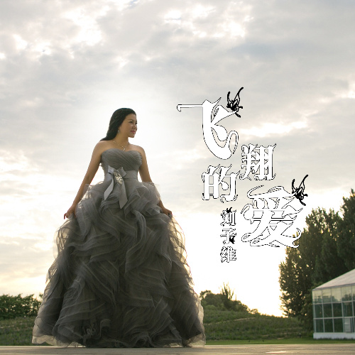 飞翔的爱