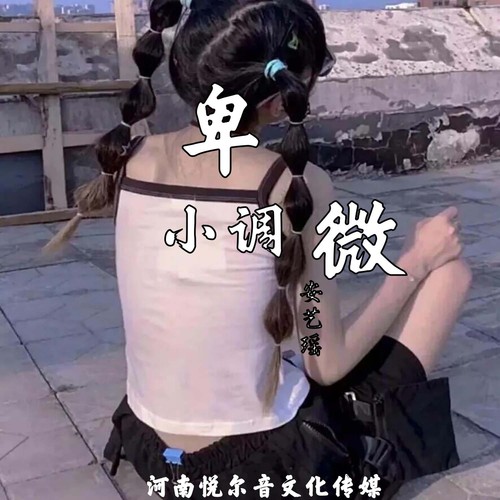 卑微小调
