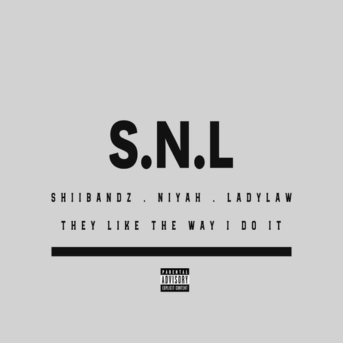 They Like The Way I Do It (Explicit)