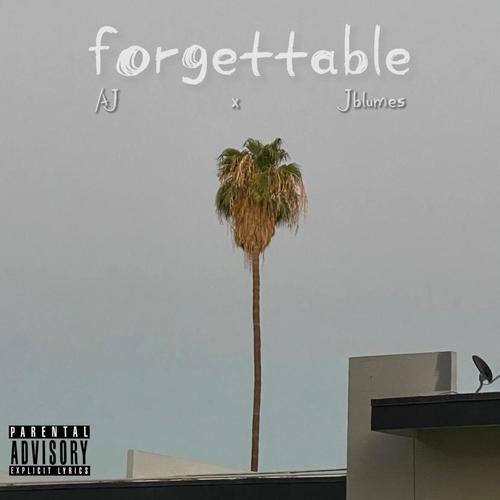forgettable (feat. Jblumes) [Explicit]
