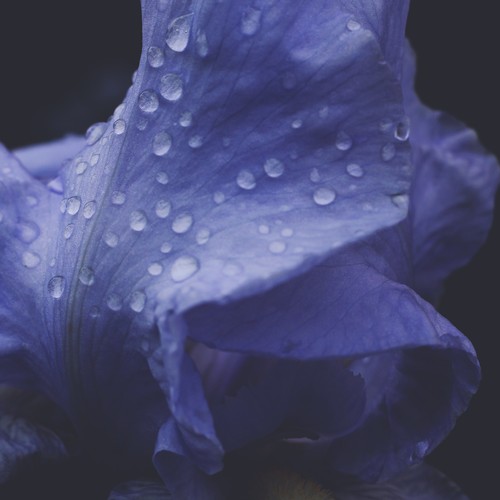 梅雨天 (Acoustic)