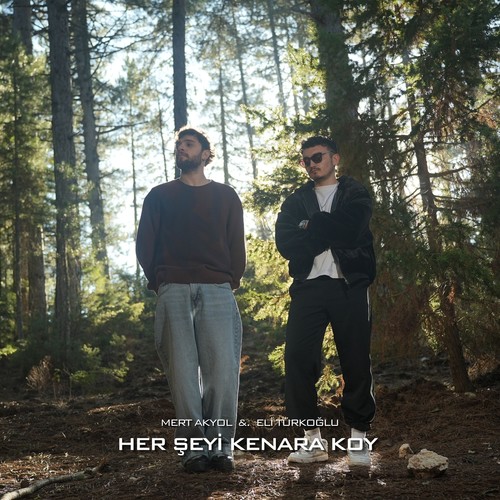 Her Şeyi Kenara Koy