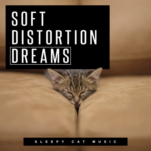 Soft Distortion Dreams