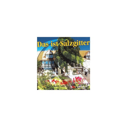 Das ist Salzgitter