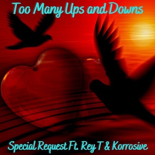 Too many Ups and Downs (Explicit)