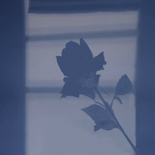 《不要忘记我爱你》