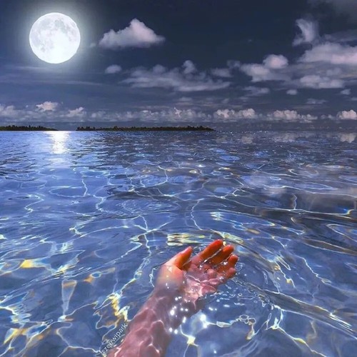 我怕来者不是你