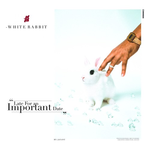 White Rabbit