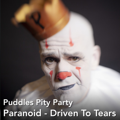 Paranoid - Driven to Tears