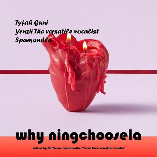 Why Ningchoosela (feat. Yenzii thee versatile vocalist & spamandla)