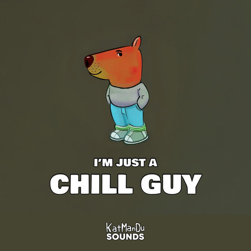 I'm Just A Chill Guy