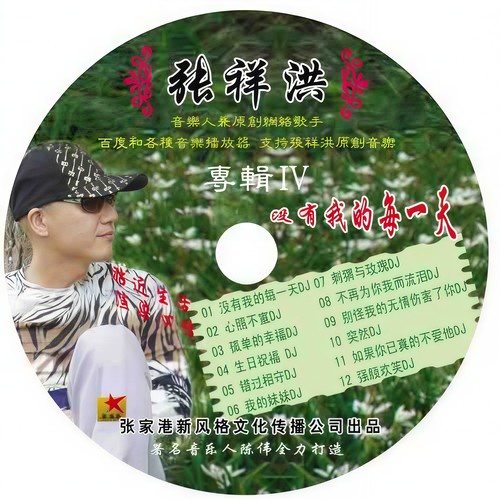 没有我的每一天DJ