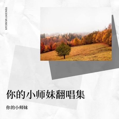 你的小师妹翻唱集