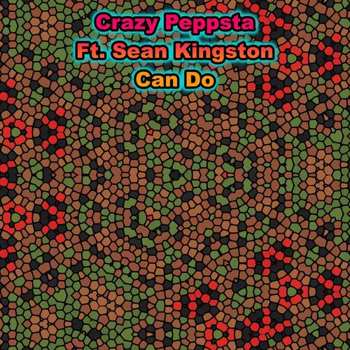 Can Do (feat. Sean Kingston) [Explicit]