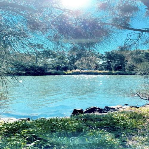 What if you were real and not my Imagination (feat. J J L)