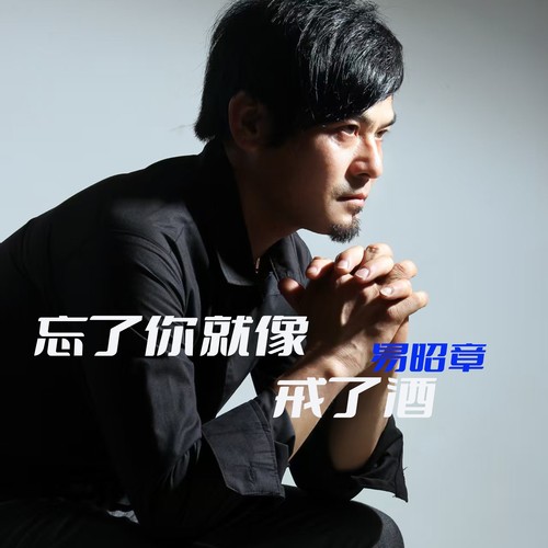 忘了你就像戒了酒