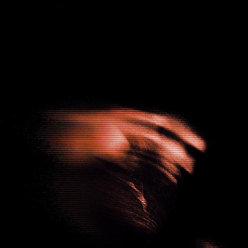 Fall With Me (feat. sergina)