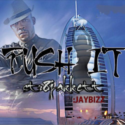 PUSH IT (feat. JAYBIZZ) [Explicit]