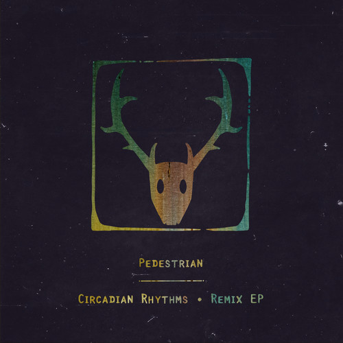 Circadian Rhythms (Remix)