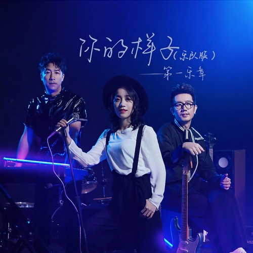 你的样子 (乐队版)