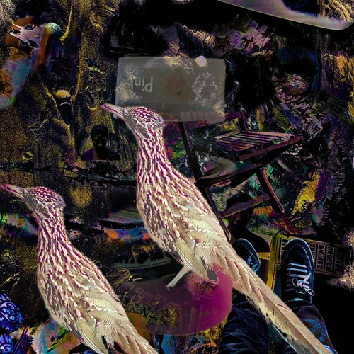 Glitter Pidgin Collage