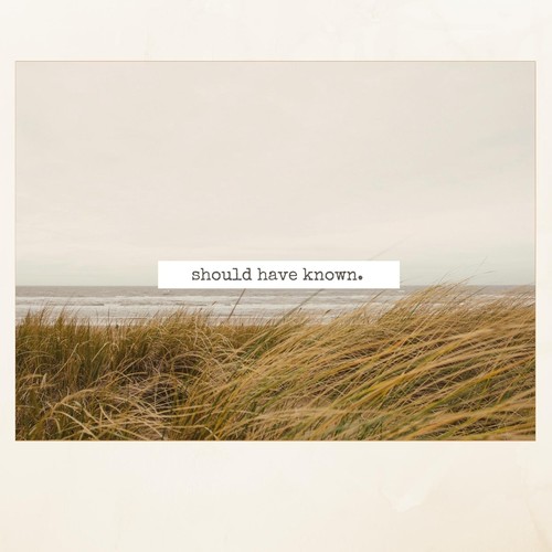 Should Have Known (feat. Jamie Downey)