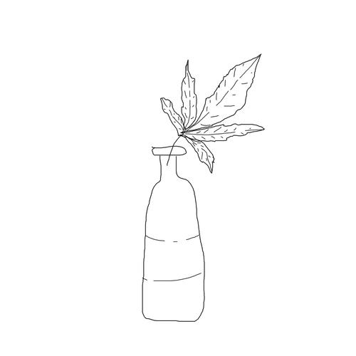 cogites, musik & durgz