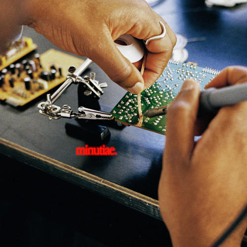 minutiae