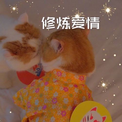 修炼爱情
