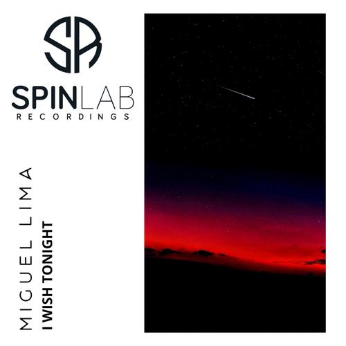 I Wish Tonight (feat. MFSL)