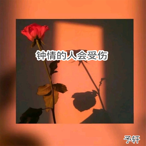 钟情的人会受伤