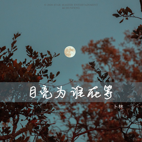 月亮为谁在等