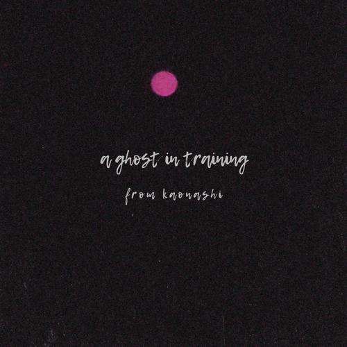a ghost in training (Explicit)