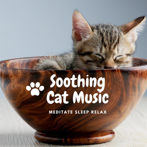 Relaxing Music for Cats Cat Music