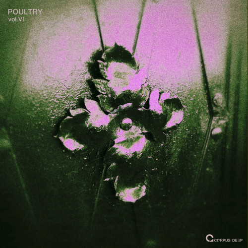 Poultry 6