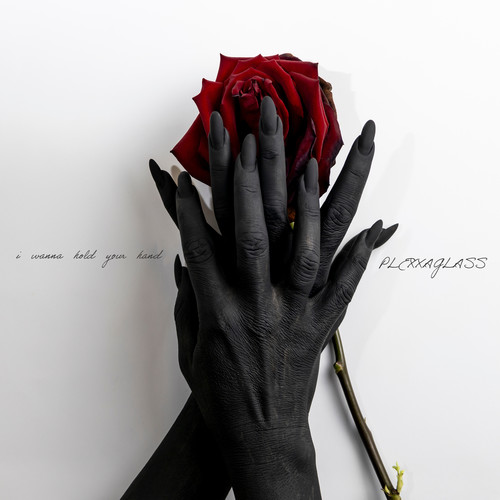 i wanna hold your hand