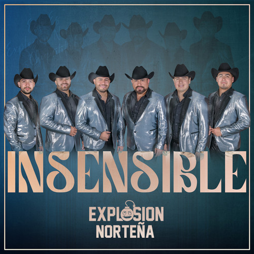 Insensible