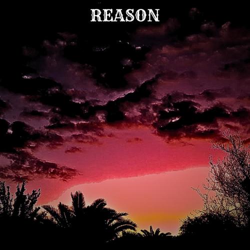 REASON (Explicit)