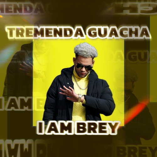 Tremenda Guacha