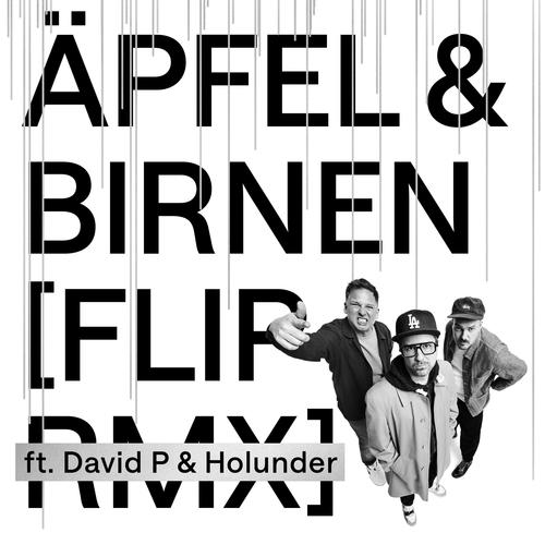Äpfel & Birnen (feat. David P & Holunder) [Flip Remix] [Explicit]