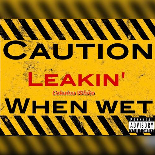 Leakin' (Explicit)