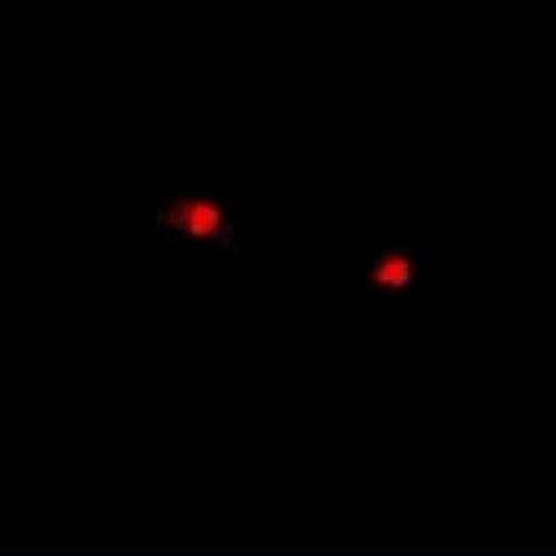 Spooky (feat. Dolo417 & lulhott) [Explicit]