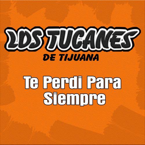 Te Perdí para Siempre