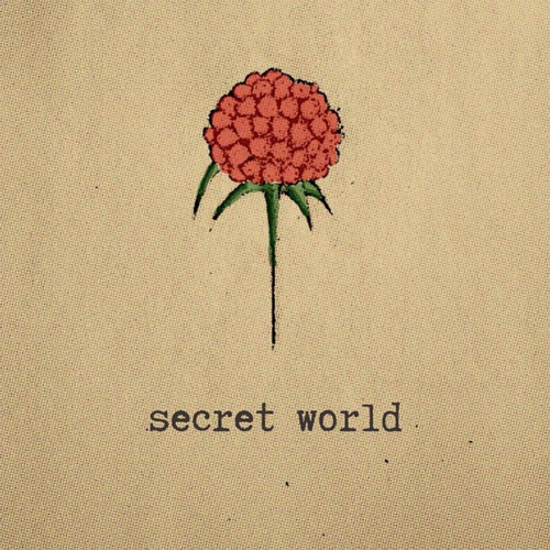 Secret World