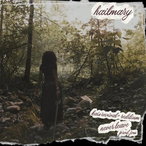 never leave (feat. Kaisrevival! & redilium)