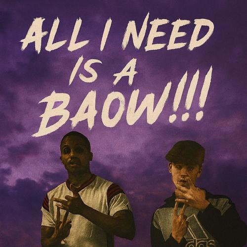 All I need is a Baow