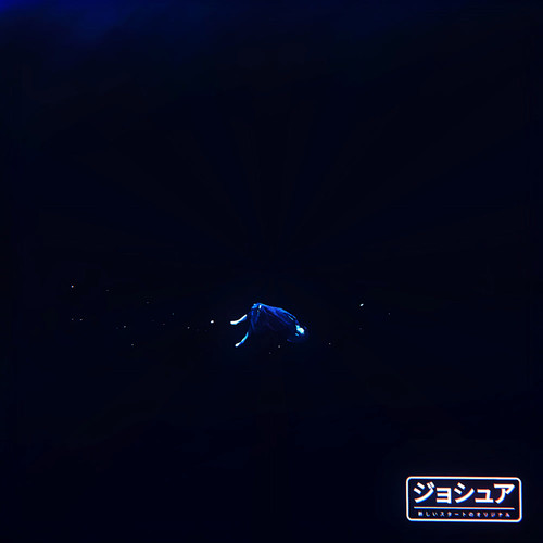 falling into the past